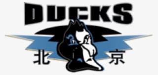 Beijing Ducks #7241473