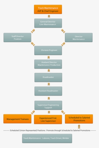 Career Paths #7242052