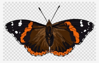 Admiral Butterfly Png Clipart Monarch Butterfly Red #7243871