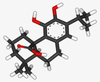 Carnosic Acid 3d Sticks #7244072 Carnosic Acid 3d Sticks #7244072
