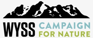 31, The Wyss Foundation Launched A $1 Billion Campaign #7244951