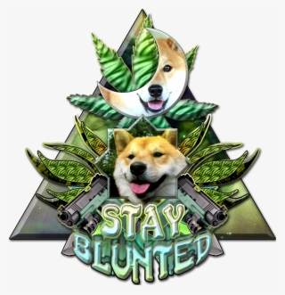 Shibe Png #7248753
