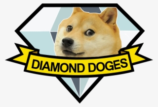 Comment Picture #7249725