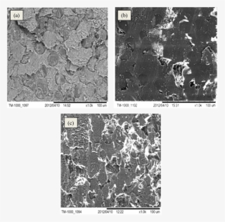Worn Surface Of Ugpk At Glass Fibers Region Tested #7253917
