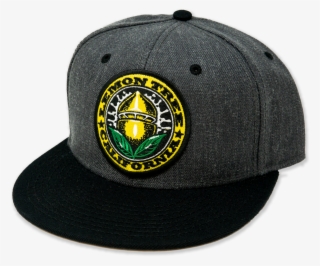 Lemon Tree California Seal Hat Grey And Black Bill #7254592
