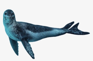 Leopard Seal #7255328 Leopard Seal #7255328