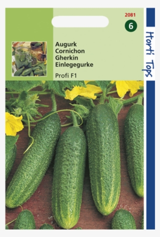 Augurk 'profi F1 Hybride' Is Een Sterk Groeiend Augurkenras #7255425 Augurk 'profi F1 Hybride' Is Een Sterk Groeiend Augurkenras #7255425
