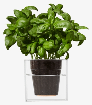 Vanaf Nu Vergeet Je Nooit Meer Om De Planten Water #7255550