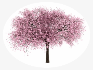 Caucasian Chalk Circle #7262694