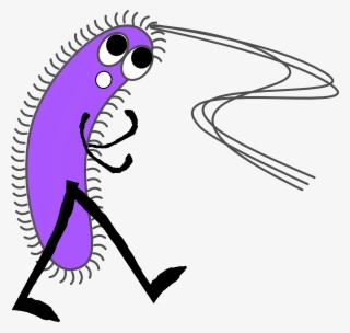 Funny Mouth Png #7263724
