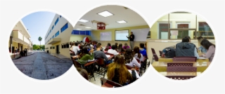 Contador Público #7267333