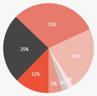 Primary Job Function #7269400