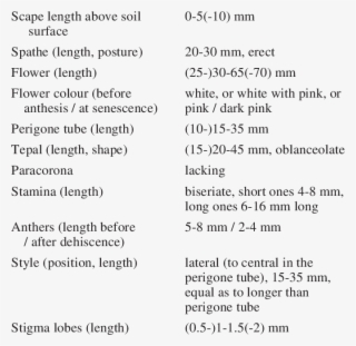 Variation Of Morphological Characters In Zephyranthes #7269401 Variation Of Morphological Characters In Zephyranthes #7269401