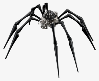 Telling The Time With Two Hands And Eight Legs #7270598