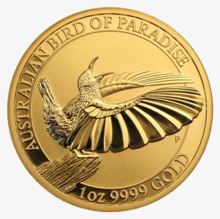 2018 Australian Bird Of Paradise Victoria's Riflebird #7271833