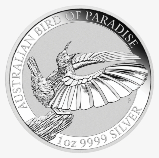 Bird Of Paradise Png #7271954