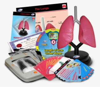 Respiratory Deluxe Set #7272349