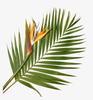 Palm Tree With Bird #7272706