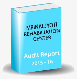 Audit Report #7274240