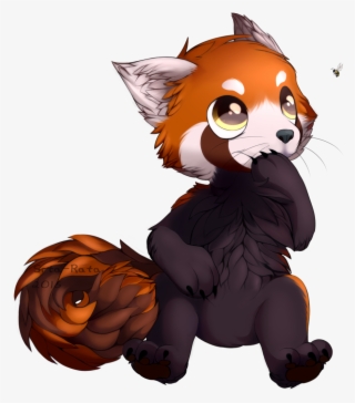 Digital Art « Older Amélia Red Panda #7275192