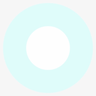 Trusted Windshield Replacement In Miami #7277229