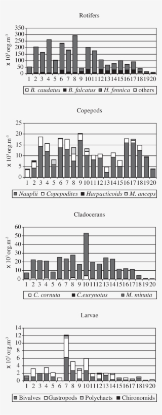 Density Of Main Zooplankton Taxa At The 20 Sampling #7277444