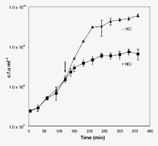Growth Of S #7279952