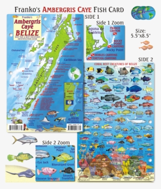 Caribbean Map Png #7280803