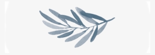 Leaf Long Mid #7281796 Leaf Long Mid #7281796