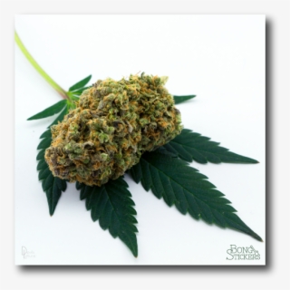 Dank Bud Weed Sticker #7281858