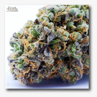 Dank Bud Weed Sticker #7281963