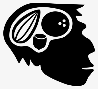 Grok Paleo Bar #7286413