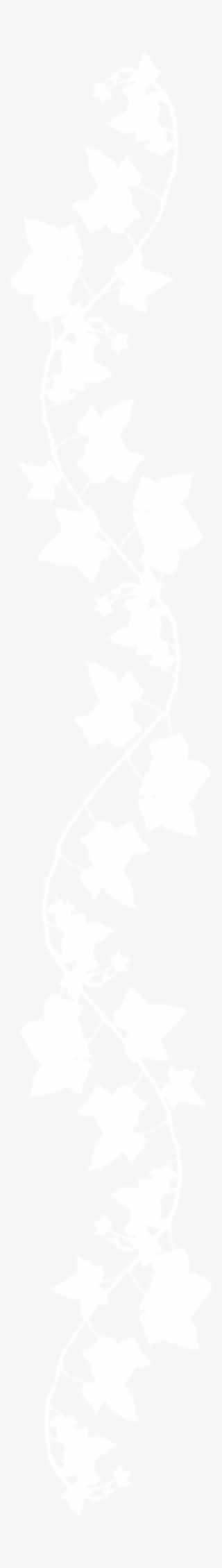 Vine #7287348