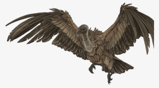 Vulture Png #7289168