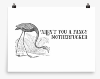 Vulture Png #7289635