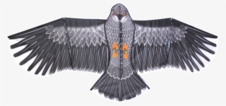 High As A Kite #7289743