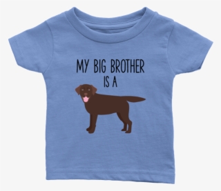 My Big Brother Is A Chocolate Labrador Retriever Baby #7290489