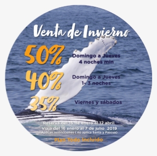 Kayaks On The Beach #7291022