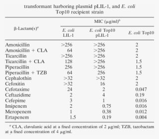 Mics Of Lactams For E #7291736