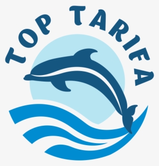 Top Tarifa #7293700