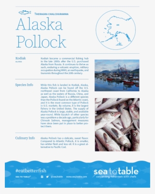Sea2table Pollock #7294036