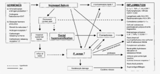 Synopsis Of Factors Involved In The Pathogenesis Of #7295014