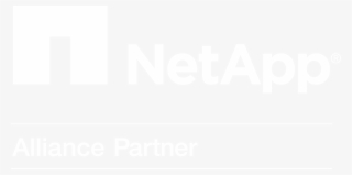 Cloudify Your Netapp #7295915