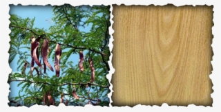 Protection, Binding, Physical Enchantments, Prosperity #7296095