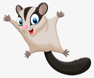 Sugar Glider #7298091
