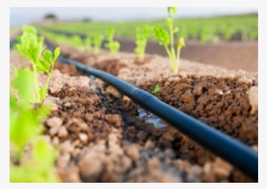 Water Restrictions Came Into Force, Effectively Banning #730080