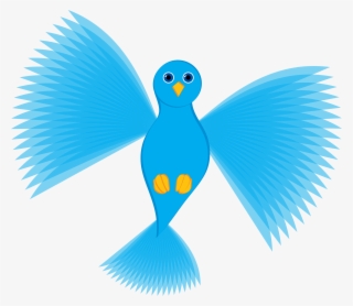 Orange County 2nd Nature Skateboarding Service - People First #730219