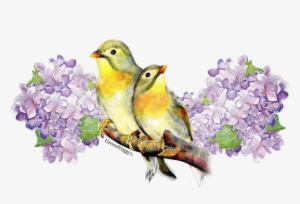Posted By Greenfroggy1 7/23/18 At - Posterazzi Bw Floral Iii Poster Print By Jennifer Pugh #730358