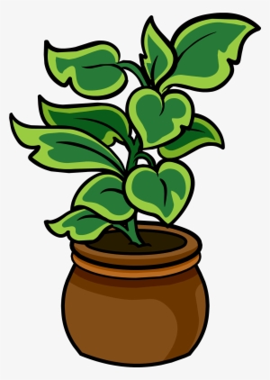 Potted Palm - Png - Potted Plant Club Penguin #730892