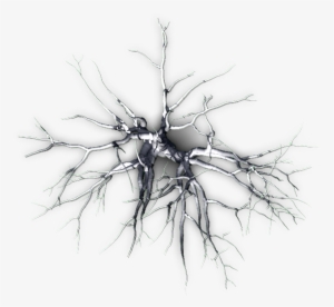 תמונה קשורה - Top #731091